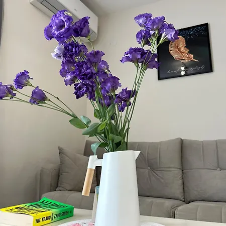 Old Town 3 With Free Private Parking